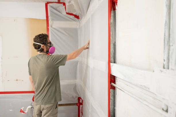 Best Indoor Air Quality Assessment  in Nora Springs, IA