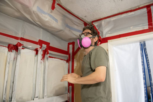 Forensic Mold Investigation in Nora Springs, IA