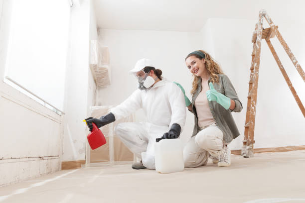 Best Real Estate Mold Inspection  in Nora Springs, IA
