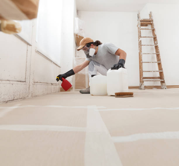 Best Biohazard Mold Removal  in Nora Springs, IA