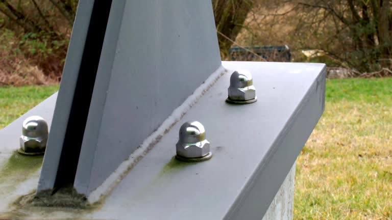 Best Forensic Mold Investigation  in Nora Springs, IA